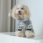 Panda-Themed Hooded Dog Jumpsuit for Warm Wear in Cooler Weather, Coral Fleece – gallery image 9