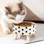 Elevated Pet Feeding Bowl for Eating & Drinking with Raised Stand Design – gallery image 2