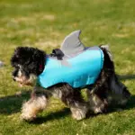 Reflective Shark Shape Pet Life Jacket for Water Safety & Visibility, Adjustable Fit – gallery image 10