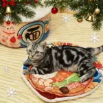 Pet House Bed for Indoor Resting & Nesting with Enclosed Nest Design – gallery image 3