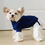 Dog Hooded Sweater for Warmth & Everyday Wear, Knit Pullover with Twisted Flower Detail – main image