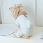 Thickened Pet Bodysuit for Warm Wear in Cool Weather with Snap Button Closure – gallery image 9