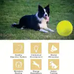Inflatable Large Tennis-Style Ball for Interactive Pet Play & Training – gallery image 8
