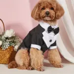 Pet Formal Shirt for Small Dogs with Bow Tie Detail – gallery image 7