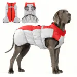 Dog Winter Jacket for Cold Weather Wear with Windproof Design & Reflective Detail – gallery image 10