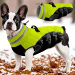 Fluorescent Green Dog Jacket for Cold Weather Wear with Zipper Closure – main image