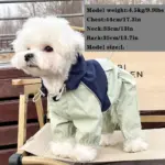 Pet Raincoat for Outdoor Wear in Wet Weather with Four-Leg Coverage and Contrast Color Panels – gallery image 6
