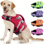 Dog Life Vest for Water Activities and Visibility with Reflective Stripes and Top Handle – gallery image 9