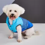 Three-Color Patchwork Padded Pet Coat for Cold-Weather Wear – gallery image 8