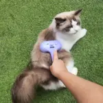 Automatic Pet Grooming Brush for Removing Loose Hair & Light Detangling, USB Rechargeable – gallery image 2