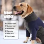 Dog Bodysuit for Warmth & Shedding Control with Contrast Color Design – gallery image 9