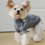 Dog Hooded Sweater for Warmth & Everyday Wear, Knit Pullover with Twisted Flower Detail – gallery image 5