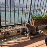 Cardboard Cat Scratcher Sofa for Scratching & Lounging with Two-Seater Design – gallery image 5