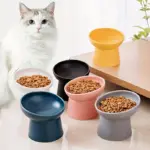 Elevated Inclined Ceramic Cat Bowl for Feeding and Drinking – main image