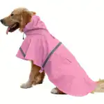 Reflective Hooded Dog Raincoat for Wet-Weather Walks & Outdoor Use – gallery image 2