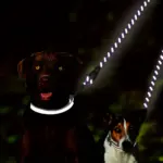 Reflective Dual Dog Leash for Walking 2 Dogs with No-Tangle Swivel and Comfortable Handle – gallery image 7