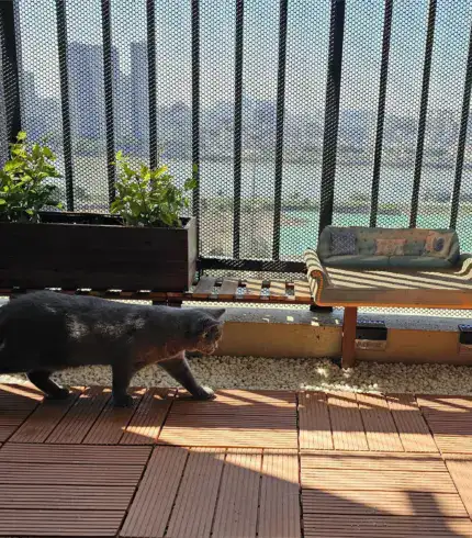 f93d7394-c263-4ee9-a8d8-0cb89bf7f3d6