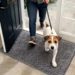 Mud-Absorbing Dog Mat for Trapping Moisture & Dirt, Non-Slip Washable Microfiber – gallery image 3