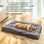 Plush Pet Bed for Resting & Lounging with Thick Cushioned Polyester Mat – gallery image 4