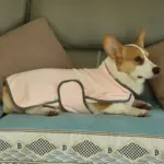 Quick-Dry Dog Bathrobe Towel for Drying After Baths & Grooming, Soft Fabric – gallery image 7