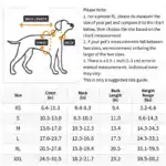 Dog Padded Jacket for Cold-Weather Wear with Fleece Lining & Water-Resistant Outer – gallery image 4